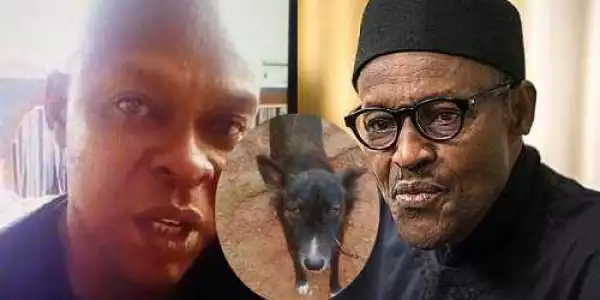 Court to hear ‘Buhari’ dog case on November 21
